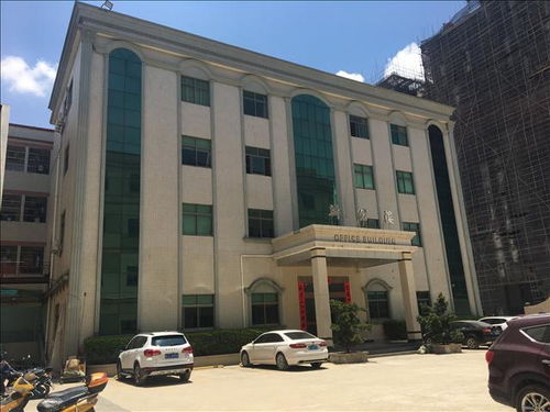 岳陽市房屋改造安全檢測鑒定報告辦理勞務(wù)服務(wù)指南